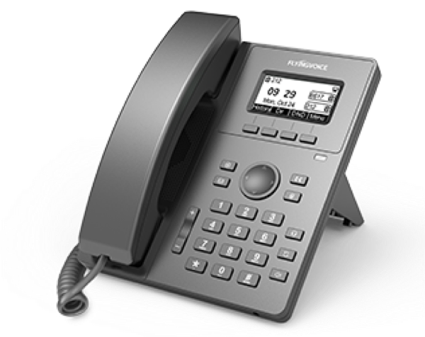 Flyingvoice P10W